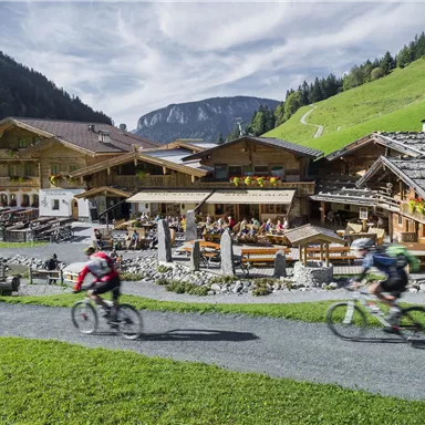 Two cyclists pass by a cozy mountain lodge in a green landscape. In the background, there are mountains and a blue sky.