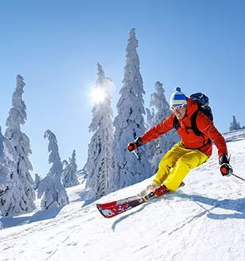 Ein Skifahrer in leuchtend orangefarbener Kleidung fährt durch frischen, tiefen Schnee. Im Hintergrund stehen schneebedeckte Bäume unter einem klaren blauen Himmel.