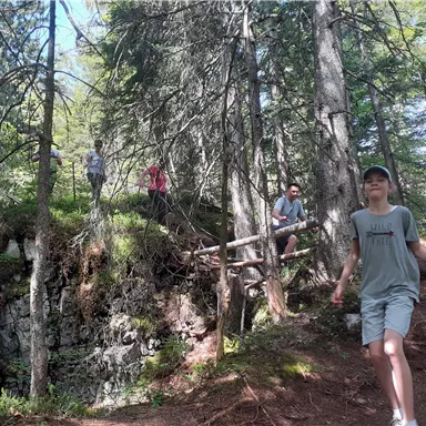 A group of people is hiking through a green forest. The sun is shining and there are many trees and rocks.