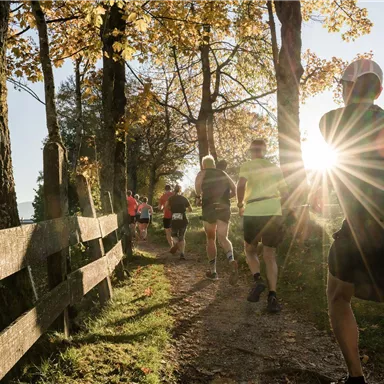 A group of runners enjoys a sunrise on a picturesque forest trail. The autumn leaves glow in the sunlight.