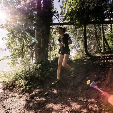 A person is walking on a forest path, surrounded by trees. The sun is shining through the leaves, creating a beautiful atmosphere.