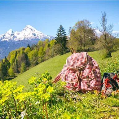 A backpack with a checkered pattern stands on a green meadow. In the background, snow-capped mountains and a clear blue sky can be seen.