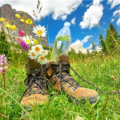Hiking shoes are placed on green grass, surrounded by colorful flowers. In one shoe, there is a bottle of water, and the sky is blue with white clouds.