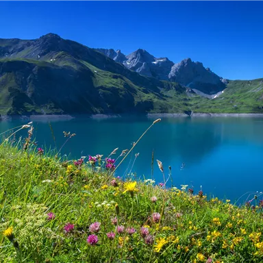 Eine malerische Berglandschaft mit blühenden Wildblumen am Ufer eines klaren Sees. Der strahlend blaue Himmel und die hohen Berge schaffen eine idyllische Atmosphäre.