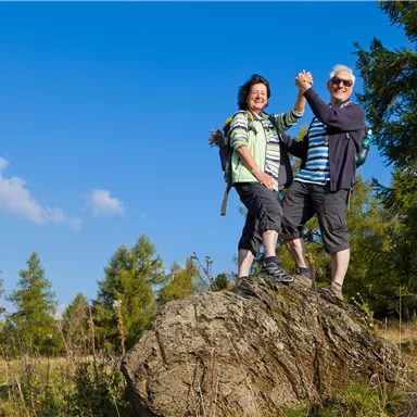 Zwei fröhliche Menschen stehen auf einem großen Stein im Freien. Der Himmel ist blau und es gibt Bäume im Hintergrund.
