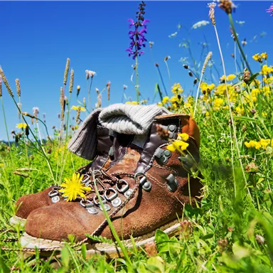 A pair of hiking boots lies in a colorful flower meadow. The sun is shining in the clear blue sky.