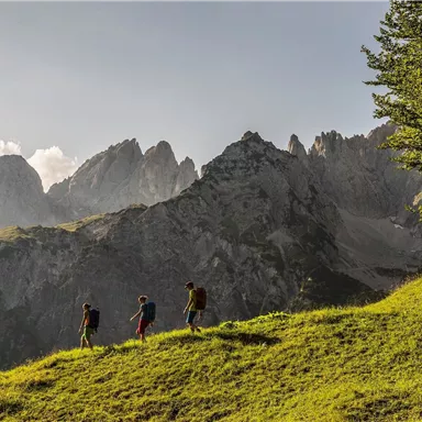 Three hikers are walking across a green meadow in the mountains. In the background, impressive rock formations and a clear sky can be seen.