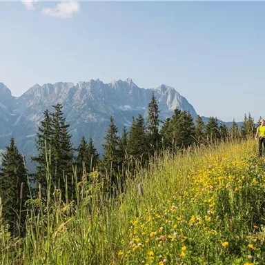 A hike on a green hill with colorful flowers. In the background, majestic mountains stretch under a clear sky.