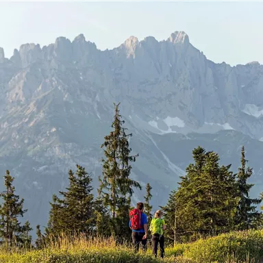 Two hikers are exploring a picturesque mountain landscape. High mountains and green trees characterize the view.