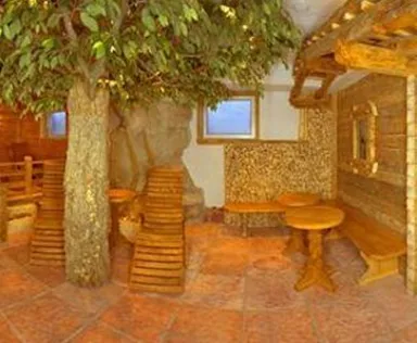 A cozy wellness area with wooden saunas and a green plant flair. The floor is made of red stone tiles, creating a relaxing atmosphere.