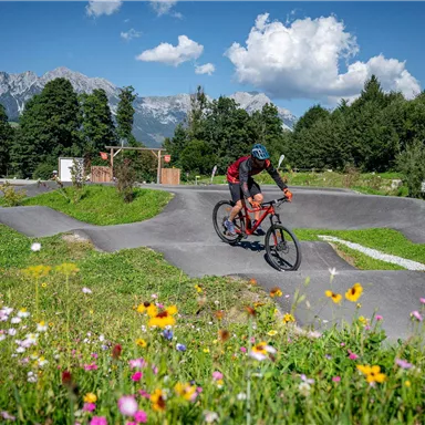 Ein Radfahrer fährt über eine BMX-Bahn inmitten einer grünen Landschaft. Im Vordergrund blühen bunte Blumen vor einer beeindruckenden Bergkulisse.