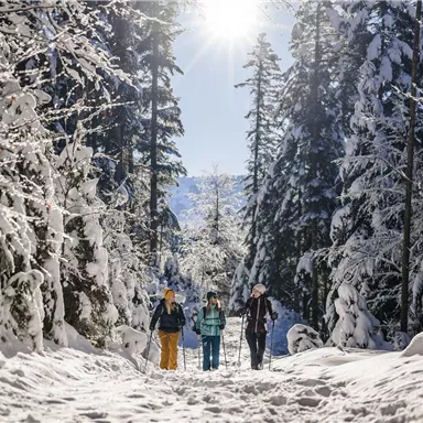 A snowy forest landscape with tall trees. Three people are happily walking along a path while the sun is shining.