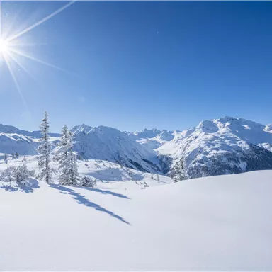 A snowy landscape with high mountains and a bright blue sky. The sun shines brightly over the gentle, white hills.