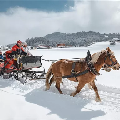 Ein Pferd zieht eine verschneite Kutsche durch eine winterliche Landschaft. Im Hintergrund sind schneebedeckte Hügel und einige Häuser zu sehen.