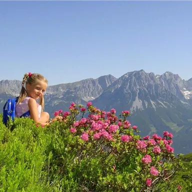 A girl is sitting on a meadow with colorful flowers, gazing at an impressive mountain landscape. The sky is clear and sunny.