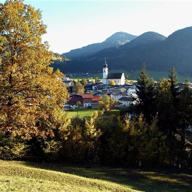 A picturesque village surrounded by gentle hills and mountains. Colorful trees in the foreground add an autumnal charm to the scene.
