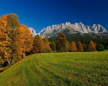 Eine malerische Landschaft mit bunten Herbstbäumen und majestätischen Bergen im Hintergrund. Der Himmel ist klar und blau, während eine grüne Wiese den Vordergrund prägt.
