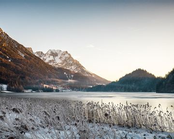 A winter lake surrounded by snow-covered mountains. The landscape is characterized by frosty plants and soft lighting conditions.