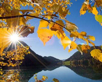 Ein schöner Herbstblick mit leuchtend gelben Blättern und einer spiegelnden Wasseroberfläche. Die Sonne strahlt hell über die Berge und den klaren blauen Himmel.