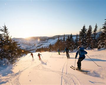 A winter sports landscape with several skiers on a snowy slope. In the background, the trees glow in the sunset.