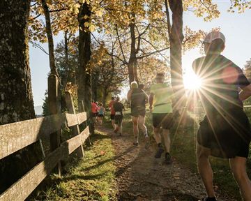 A group of runners enjoys a sunrise on a picturesque forest trail. The autumn leaves glow in the sunlight.