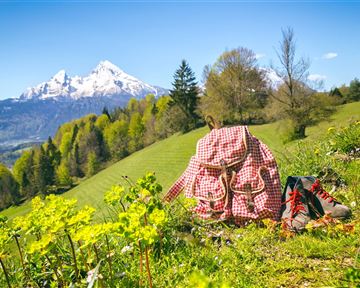 Ein Rucksack mit kariertem Muster steht auf einer grünen Wiese. Im Hintergrund sind schneebedeckte Berge und ein klarer blauer Himmel zu sehen.