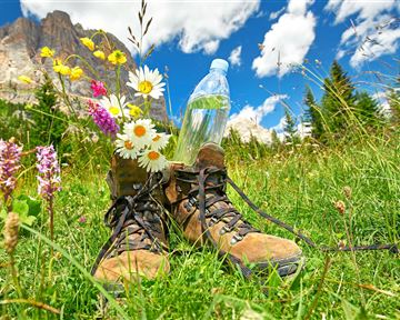 Wanderschuhe stehen auf grünem Gras, umgeben von bunten Blumen. In einem Schuh steht eine Flasche Wasser, und der Himmel ist blau mit weißen Wolken.