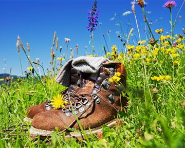 Ein Paar Wanderstiefel liegt in einer bunten Blumenwiese. Die Sonne scheint am klaren blauen Himmel.