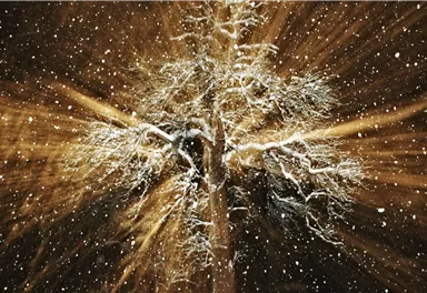 Ein majestätischer Baum, bedeckt mit Schnee, steht im Vordergrund. Schneeflocken fallen sanft und erzeugen eine magische Stimmung.