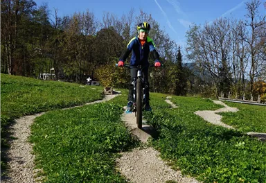 Ein Radfahrer fährt auf einem kurvenreichen Weg durch eine grüne Landschaft. Im Hintergrund sind Bäume und ein blauer Himmel zu sehen.