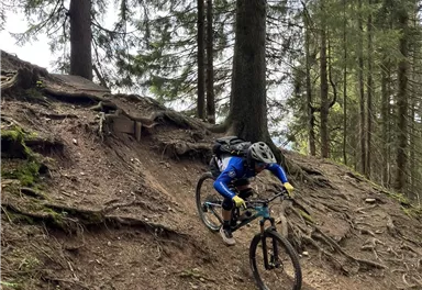 Ein Mountainbiker fährt einen steilen, erdigen Hang in einem Wald. Umgeben von hohen Bäumen und grünem Moos, zeigt das Bild Action und Abenteuer.
