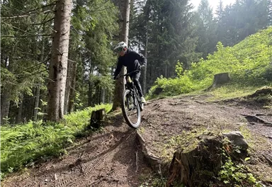 Ein Mountainbiker fährt einen steilen, bewaldeten Hang hinunter. Die Umgebung ist grün und von Bäumen umgeben.