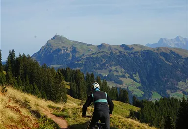 Ein Mountainbiker fährt auf einem schmalen Weg durch eine grüne Landschaft. Im Hintergrund sind Berge und ein klarer Himmel zu sehen.