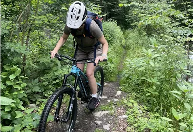 Ein Mountainbiker fährt auf einem schmalen Pfad durch einen grünen Wald. Der Radfahrer trägt einen Helm und hat einen Rucksack auf.