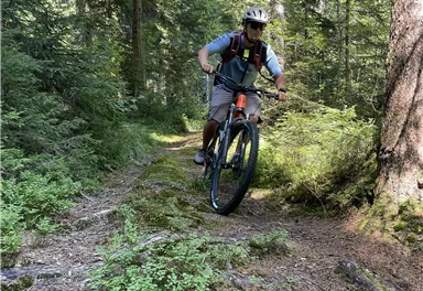Ein Mountainbiker fährt einen schmalen Pfad im Wald. Die Umgebung ist grün und von Bäumen umgeben.