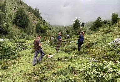Eine Gruppe von Menschen arbeitet auf einer grünen Wiese in den Bergen. Der Himmel ist bewölkt und die Umgebung ist von Bäumen und Hügeln umgeben.