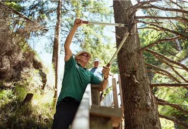 Zwei Personen arbeiten im Wald und schneiden einen Baum. Der Mann vorne benutzt eine Säge, während der andere beobachtet.