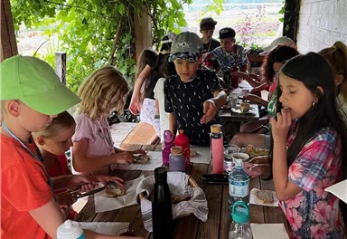 Eine Gruppe von Kindern sitzt an einem Tisch im Freien und genießt ein gemeinsames Essen. Die Umgebung ist grün mit Weintrauben, und alle scheinen Spaß zu haben.