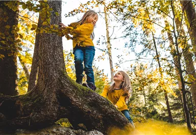 Zwei Kinder in gelben T-Shirts spielen im Wald. Eines steht auf einem Baumstamm, während das andere lacht und zuschaut.