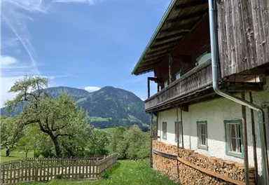 Ein traditionelles Haus mit einem Holzstapel, umgeben von grünen Wiesen und Bergen im Hintergrund. Der Himmel ist klar und die Landschaft ist idyllisch.