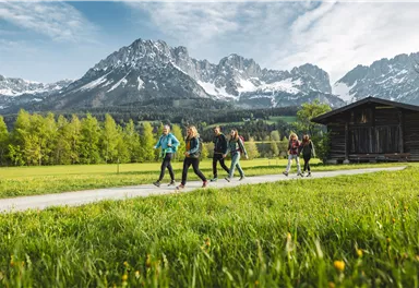 Eine Gruppe von fünf Personen wandert auf einem Weg in einer idyllischen Landschaft. Im Hintergrund sind beeindruckende Berge und ein Holzhaus zu sehen.