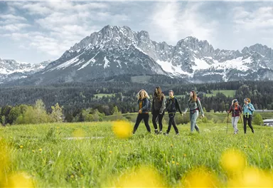 Eine Gruppe von Wanderern geht durch eine grüne Wiese mit gelben Blumen. Im Hintergrund sind majestätische Berge mit Schnee zu sehen.