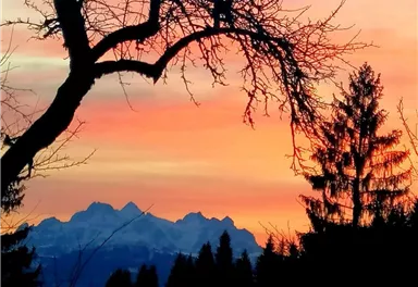 Ein wunderschöner Sonnenuntergang über den Bergen, mit silhouettieren Bäumen im Vordergrund. Die Farben des Himmels reichen von Orange bis Violett.
