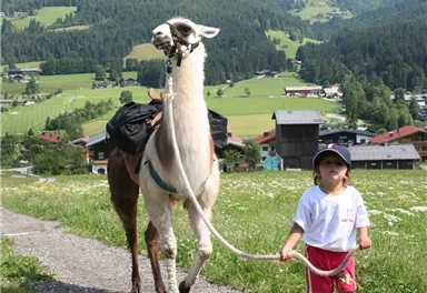 Ein kleines Mädchen führt ein Lama auf einem Weg. Im Hintergrund sind grüne Wiesen und Berge zu sehen.
