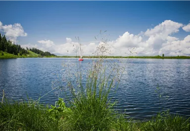 Ein ruhiger See mit grünem Gras im Vordergrund und schönen Wolken am Himmel. Im Hintergrund schwimmt ein kleines rotes Boot.