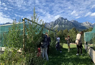 Eine Gruppe von Menschen steht in einem Garten mit hohen Pflanzen. Im Hintergrund sind majestätische Berge und ein blauer Himmel zu sehen.