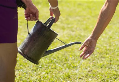 Eine Person gießt mit einer Gießkanne Wasser auf den Boden. Die Sonne scheint auf das grüne Gras.