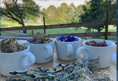 Eine Auswahl von getrockneten Kräutern und Blüten in weißen Tassen auf einem Holztablett. Im Hintergrund sind Berge und eine bewaldete Landschaft mit leichtem Nebel zu sehen.