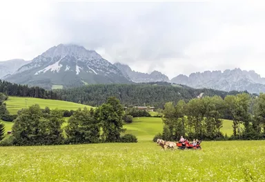 Eine malerische Landschaft mit grünen Wiesen und majestätischen Bergen im Hintergrund. Im Vordergrund ziehen Pferde eine Wagenfahrt mit mehreren Personen.