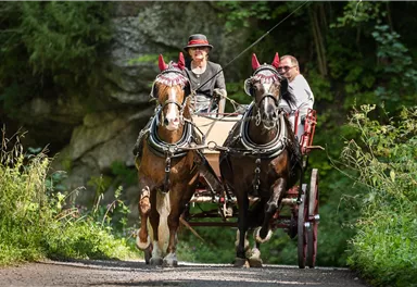 Zwei Pferde ziehen eine Kutsche auf einem schmalen Weg durch die Natur. Die Fahrer tragen traditionelle Kleidung und der Hintergrund ist grün und üppig.